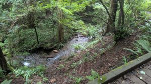 道の横を流れる川
